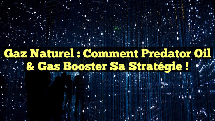 Gaz Naturel : Comment Predator Oil & Gas Booster sa Stratégie !