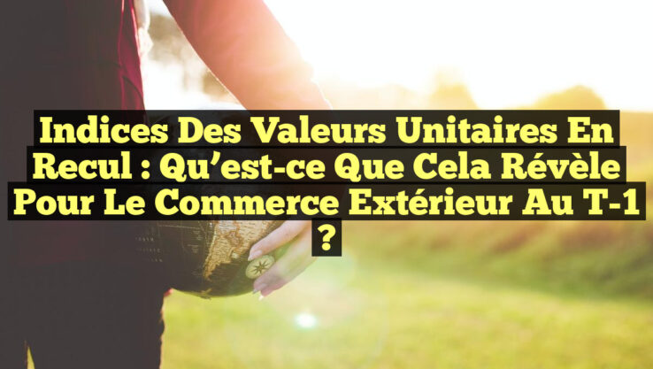 Indices des valeurs unitaires en recul : Qu’est-ce que cela révèle pour le commerce extérieur au T-1 ?
