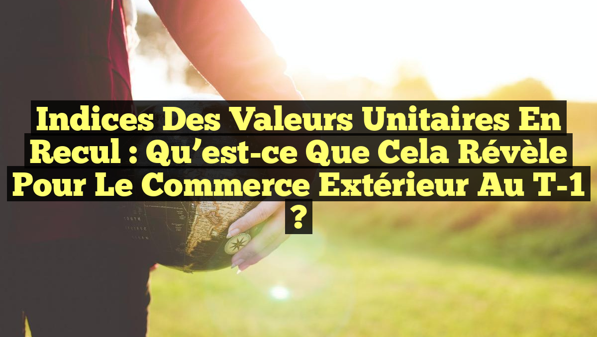 Indices des valeurs unitaires en recul : Qu&rsquo;est-ce que cela révèle pour le commerce extérieur au T-1 ?