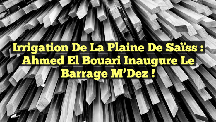 Irrigation de la Plaine de Saïss : Ahmed El Bouari Inaugure le Barrage M’Dez !