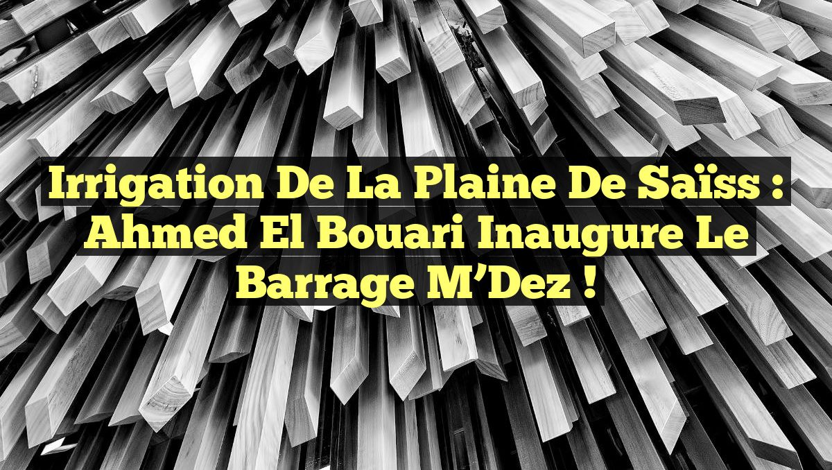 Irrigation de la Plaine de Saïss : Ahmed El Bouari Inaugure le Barrage M’Dez !