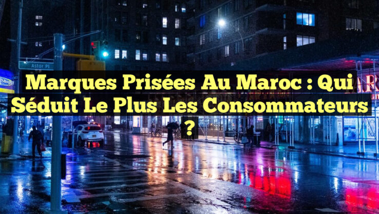 Marques Prisées au Maroc : Qui Séduit le Plus les Consommateurs ?