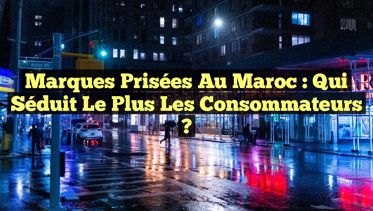 Marques Prisées au Maroc : Qui Séduit le Plus les Consommateurs ?