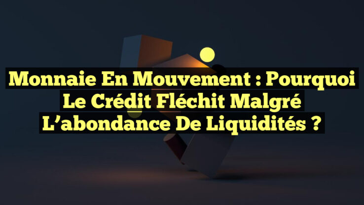 Monnaie en mouvement : Pourquoi le crédit fléchit malgré l’abondance de liquidités ?