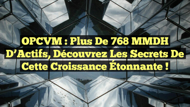 OPCVM : Plus de 768 MMDH d’Actifs, Découvrez les Secrets de cette Croissance Étonnante !