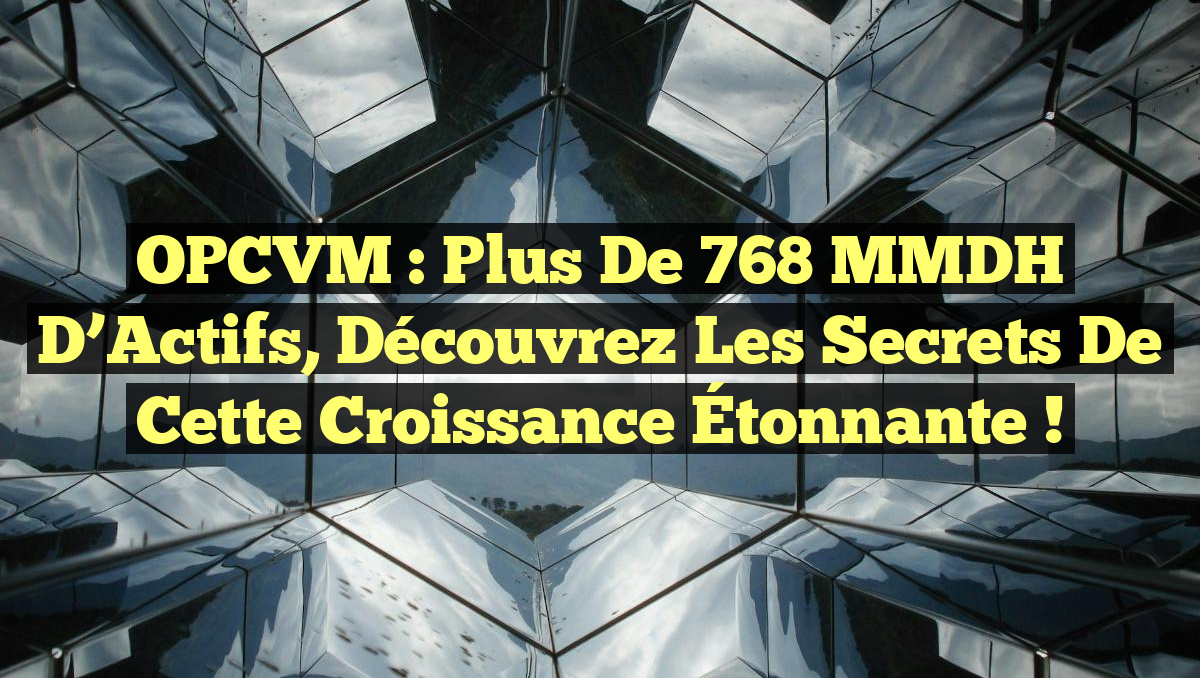 OPCVM : Plus de 768 MMDH d&rsquo;Actifs, Découvrez les Secrets de cette Croissance Étonnante !