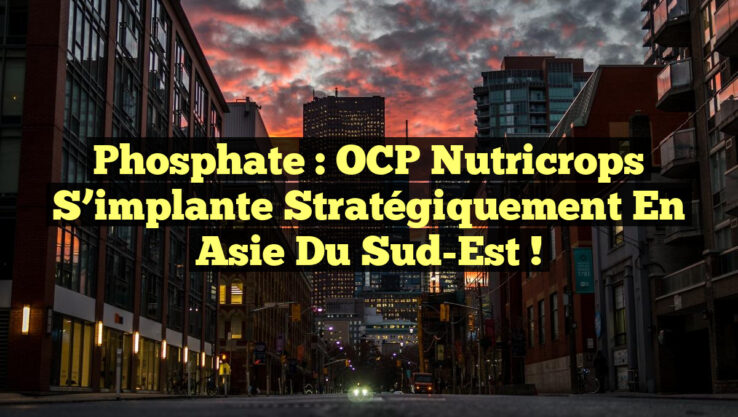 Phosphate : OCP Nutricrops s’implante stratégiquement en Asie du Sud-Est !