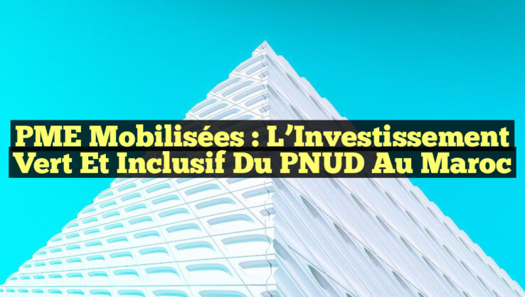 PME Mobilisées : L’Investissement Vert et Inclusif du PNUD au Maroc
