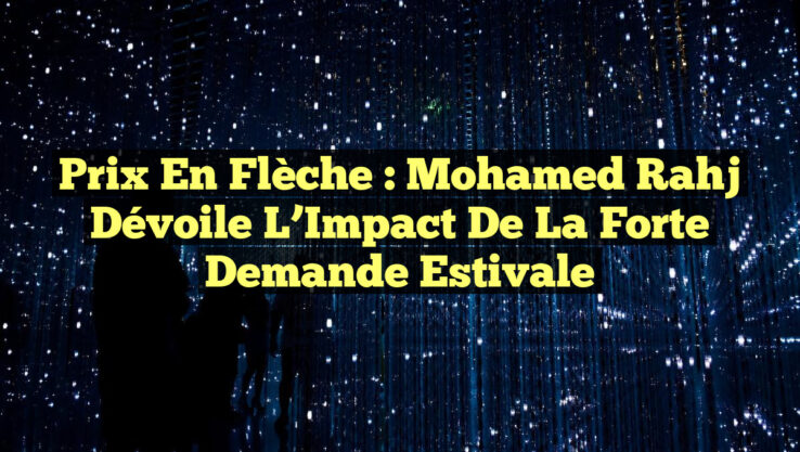 Prix en Flèche : Mohamed Rahj Dévoile l’Impact de la Forte Demande Estivale