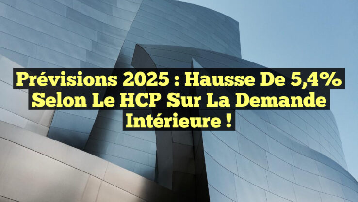 Prévisions 2025 : Hausse de 5,4% selon le HCP sur la demande intérieure !