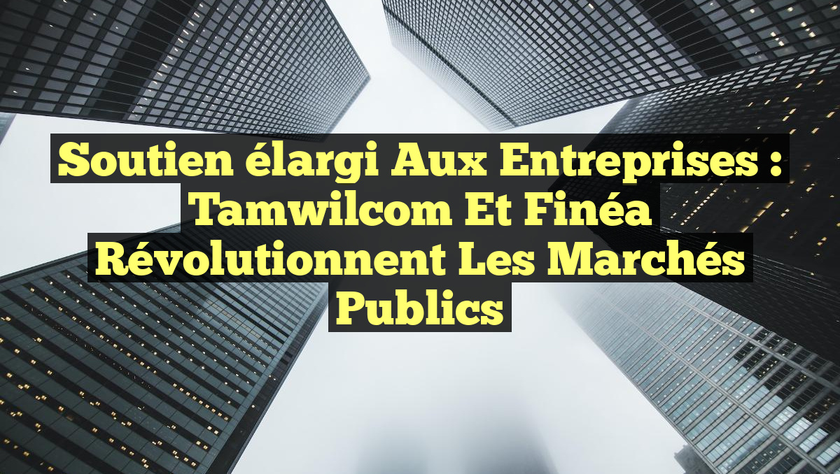 Soutien élargi aux entreprises : Tamwilcom et Finéa révolutionnent les marchés publics