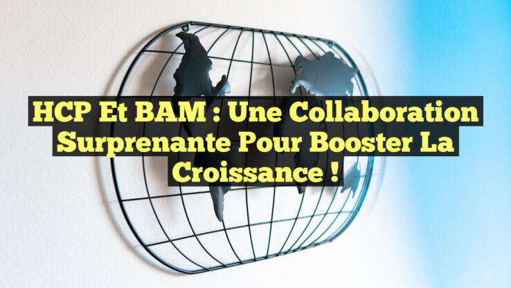 HCP et BAM : Une Collaboration Surprenante pour Booster la Croissance !