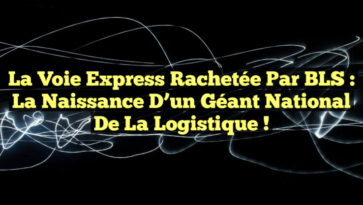 La Voie Express rachetée par BLS : la naissance d’un géant national de la logistique !