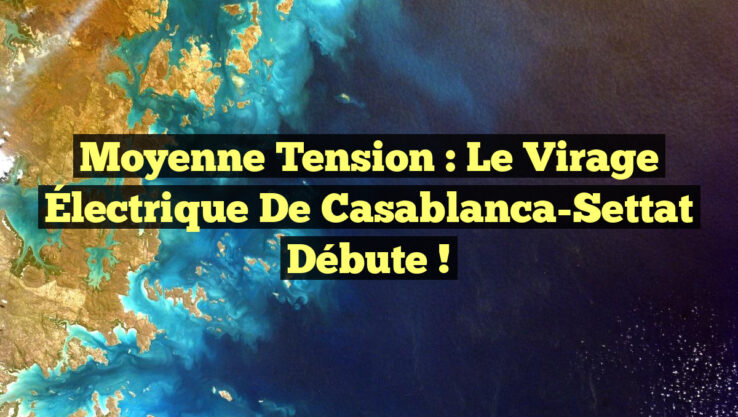 Moyenne Tension : Le Virage Électrique de Casablanca-Settat Débute !