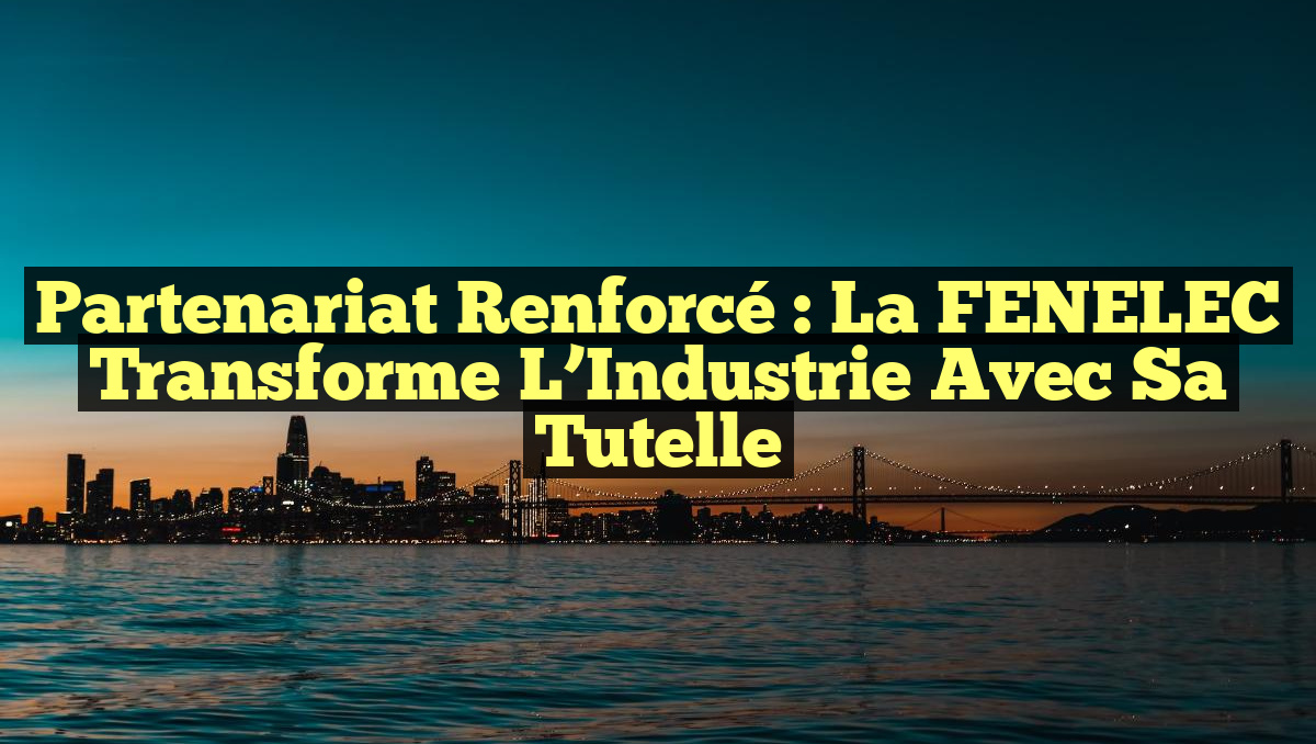 Partenariat Renforcé : La FENELEC Transforme l&rsquo;Industrie avec Sa Tutelle