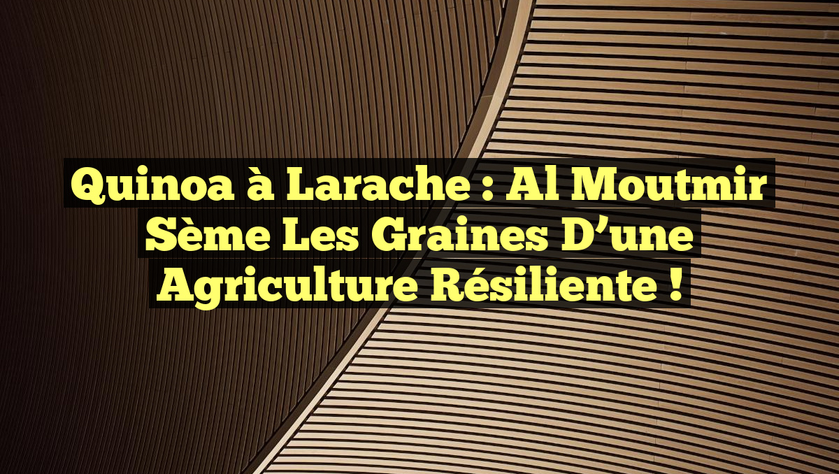 Quinoa à Larache : Al Moutmir sème les graines d&rsquo;une agriculture résiliente !