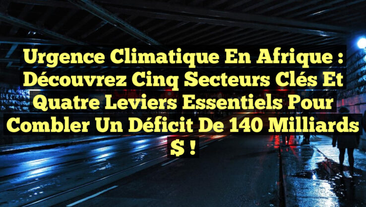 Urgence climatique en Afrique : Découvrez cinq secteurs clés et quatre leviers essentiels pour combler un déficit de 140 milliards $ !