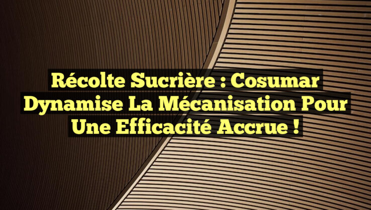Récolte sucrière : Cosumar dynamise la mécanisation pour une efficacité accrue !