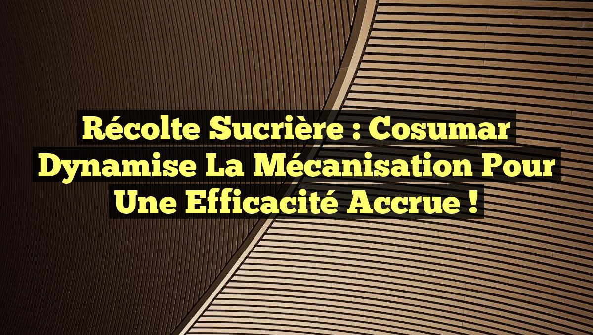 Récolte sucrière : Cosumar dynamise la mécanisation pour une efficacité accrue !