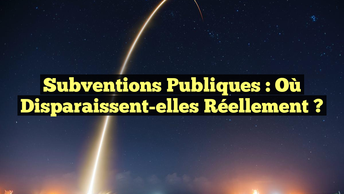 Subventions publiques : Où disparaissent-elles réellement ?