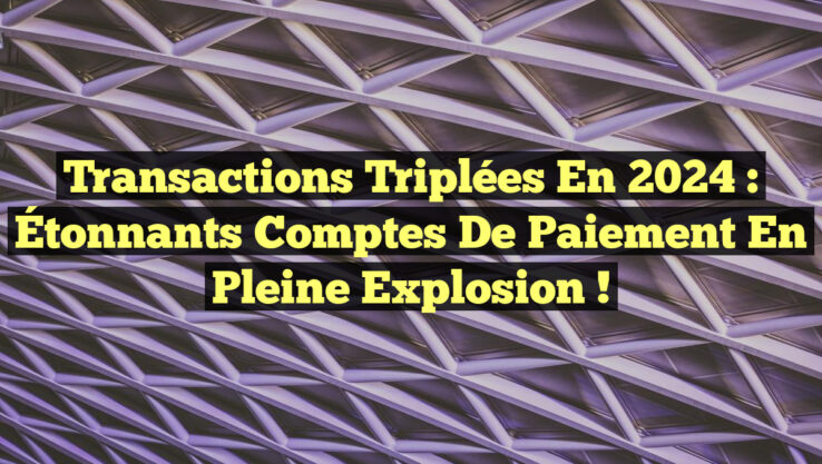 Transactions triplées en 2024 : Étonnants comptes de paiement en pleine explosion !