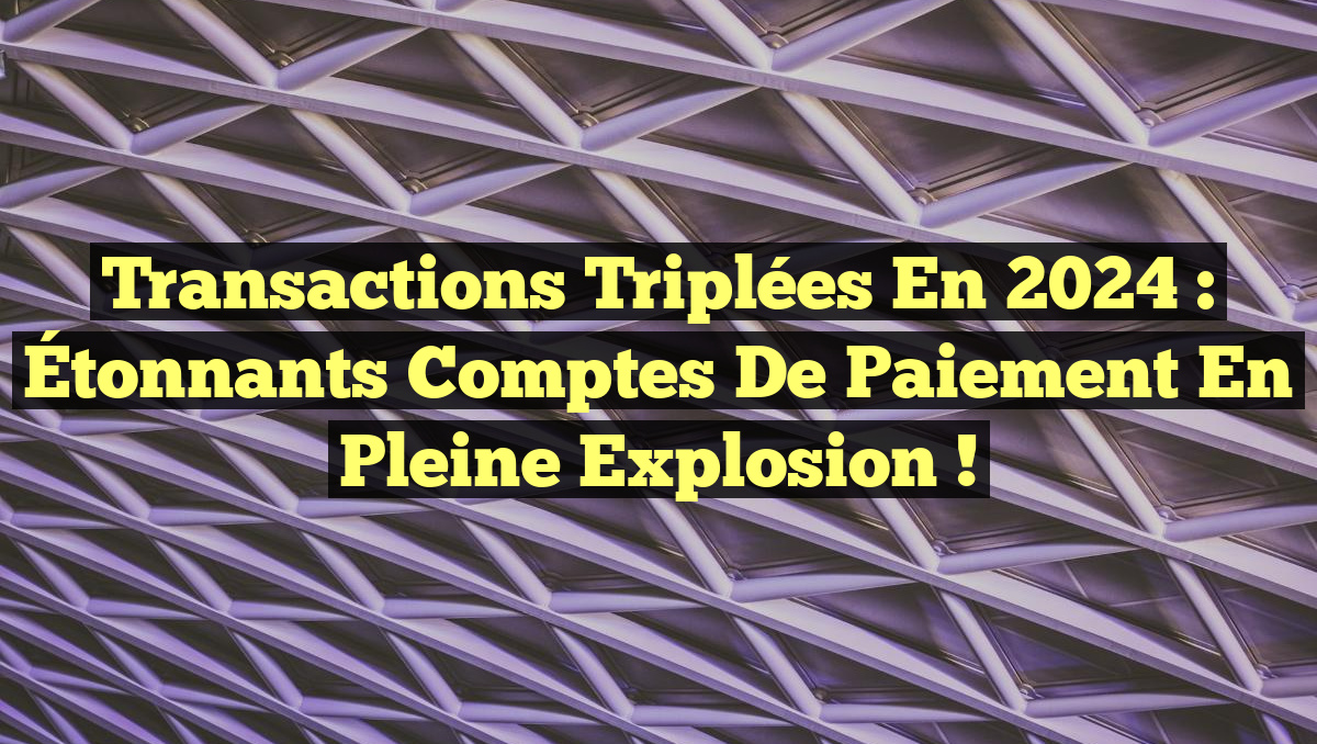 Transactions triplées en 2024 : Étonnants comptes de paiement en pleine explosion !