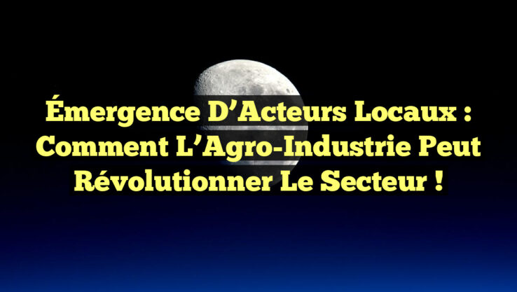Émergence d’Acteurs Locaux : Comment l’Agro-Industrie Peut Révolutionner le Secteur !