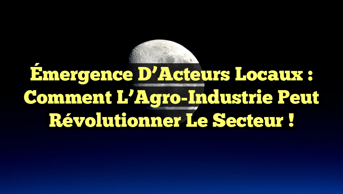 Émergence d&rsquo;Acteurs Locaux : Comment l&rsquo;Agro-Industrie Peut Révolutionner le Secteur !