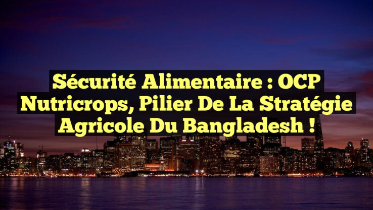 Sécurité Alimentaire : OCP Nutricrops, Pilier de la Stratégie Agricole du Bangladesh ! Sécurité Alimentaire : OCP Nutricrops, Pilier de la Stratégie Agricole du Bangladesh !