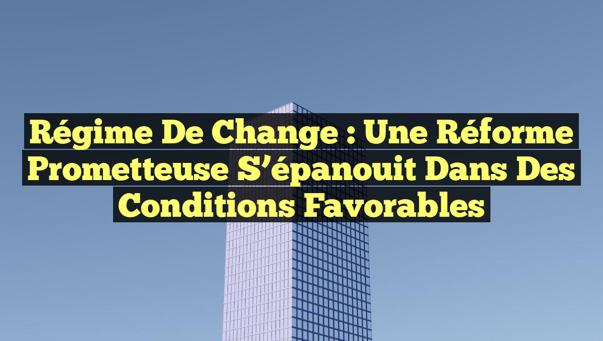 Régime de change : Une réforme prometteuse s&rsquo;épanouit dans des conditions favorables