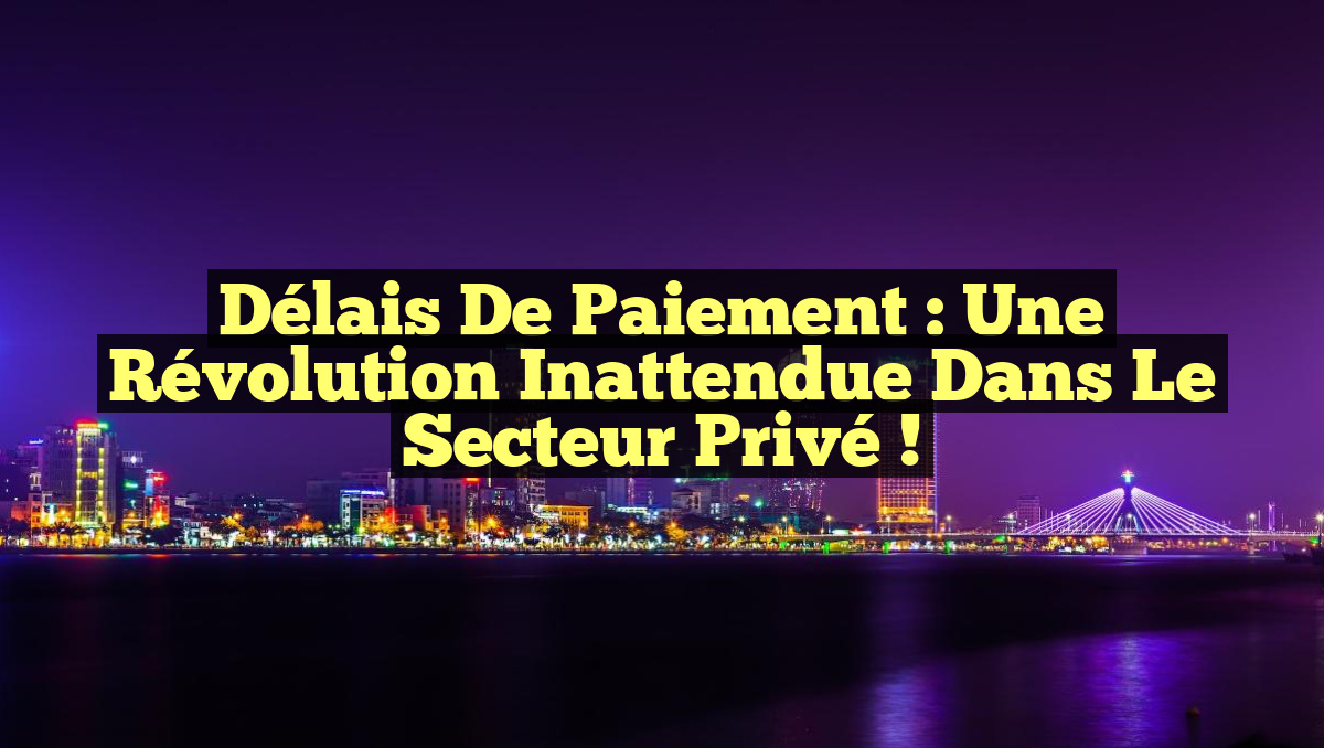 Délais de Paiement : Une Révolution Inattendue dans le Secteur Privé !