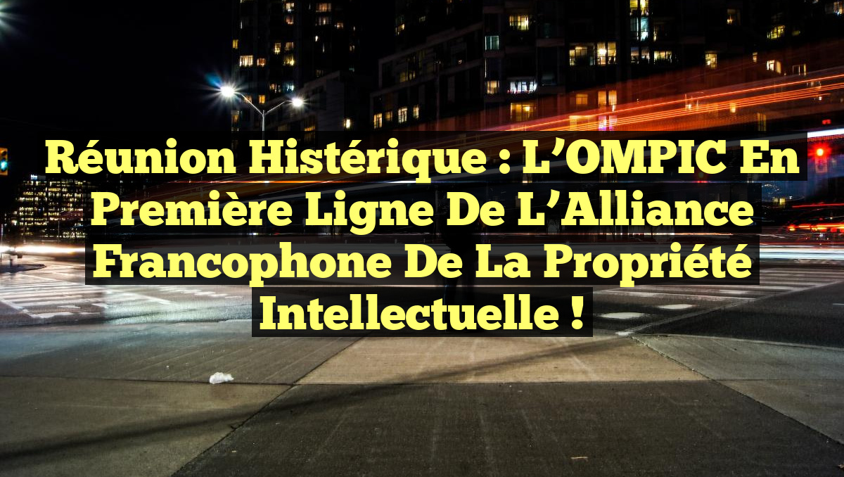 Réunion Histérique : L&rsquo;OMPIC en Première Ligne de l&rsquo;Alliance Francophone de la Propriété Intellectuelle !