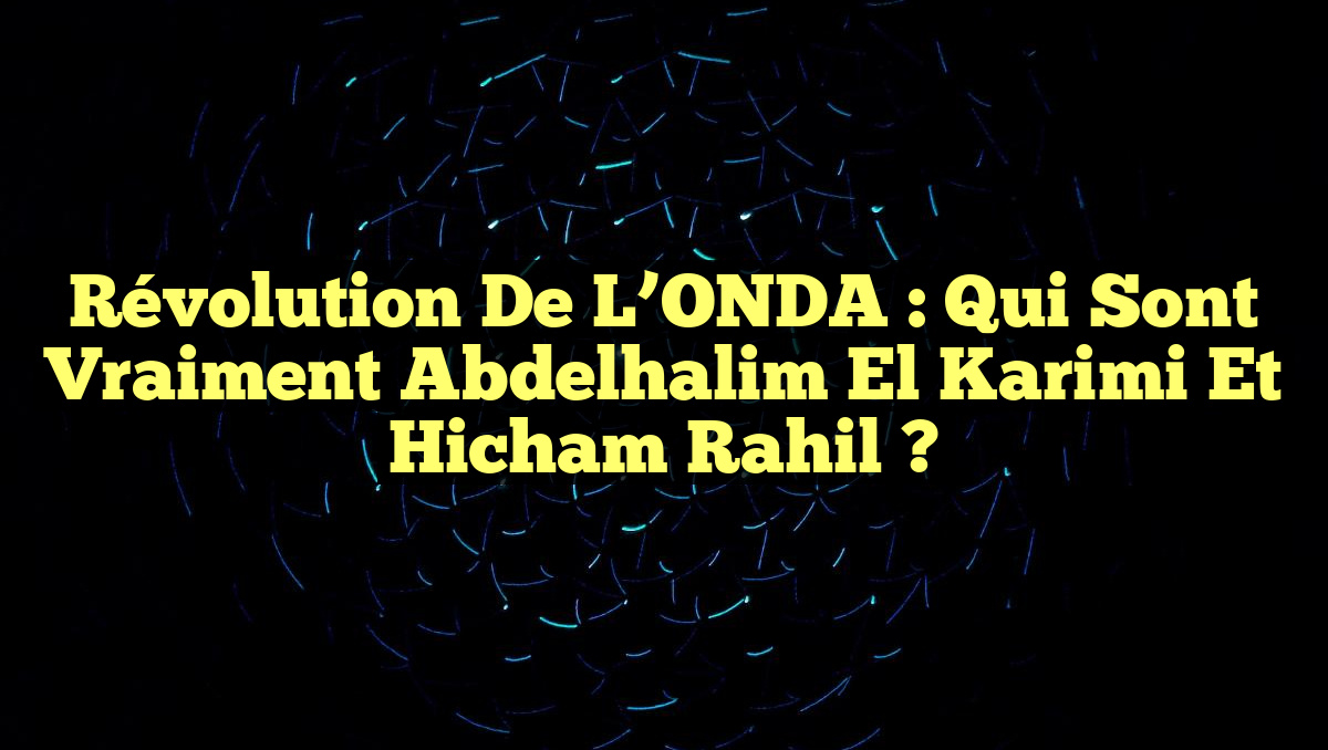 Révolution de l&rsquo;ONDA : Qui sont vraiment Abdelhalim El Karimi et Hicham Rahil ?