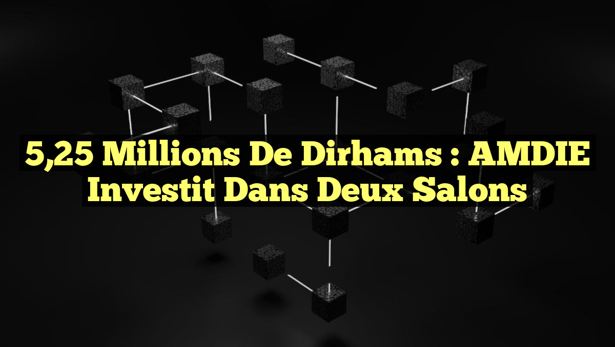 5,25 Millions de Dirhams : AMDIE Investit dans Deux Salons