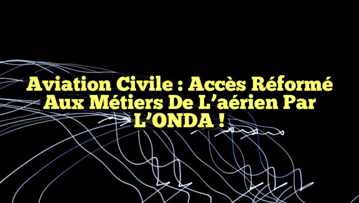 Aviation civile : Accès réformé aux métiers de l’aérien par l’ONDA !