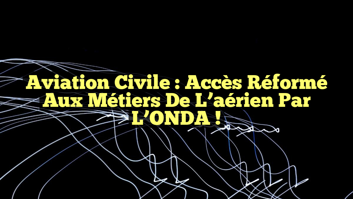 Aviation civile : Accès réformé aux métiers de l’aérien par l&rsquo;ONDA !