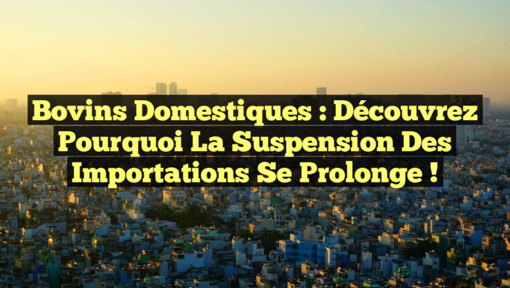 Bovins domestiques : Découvrez pourquoi la suspension des importations se prolonge !