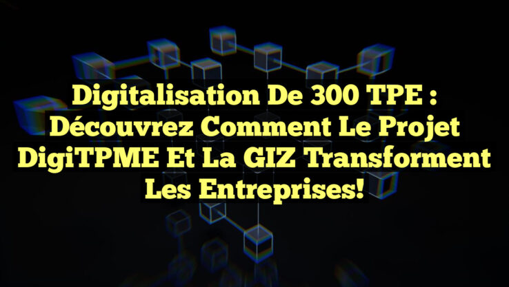 Digitalisation de 300 TPE : Découvrez comment le Projet DigiTPME et la GIZ transforment les entreprises!