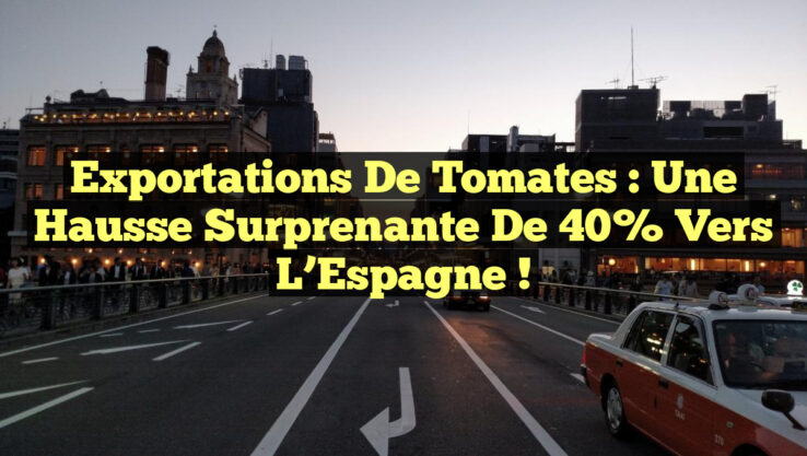 Exportations de Tomates : Une Hausse Surprenante de 40% vers l’Espagne ! Exportations de Tomates : Une Hausse Surprenante de 40% vers l’Espagne !