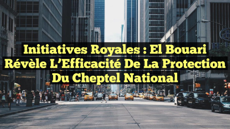 Initiatives Royales : El Bouari Révèle l’Efficacité de la Protection du Cheptel National