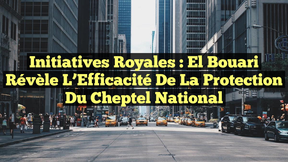 Initiatives Royales : El Bouari Révèle l&rsquo;Efficacité de la Protection du Cheptel National