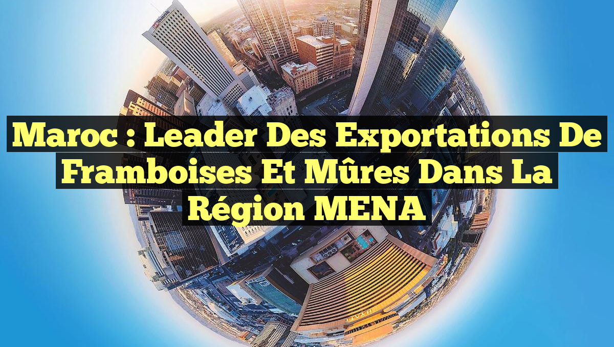 Maroc : Leader des Exportations de Framboises et Mûres dans la Région MENA