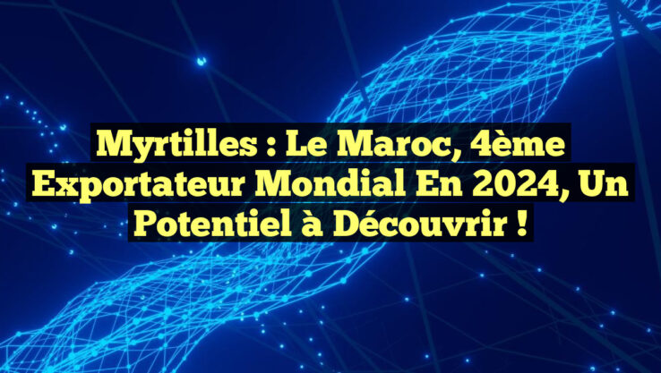 Myrtilles : le Maroc, 4ème exportateur mondial en 2024, un potentiel à découvrir !