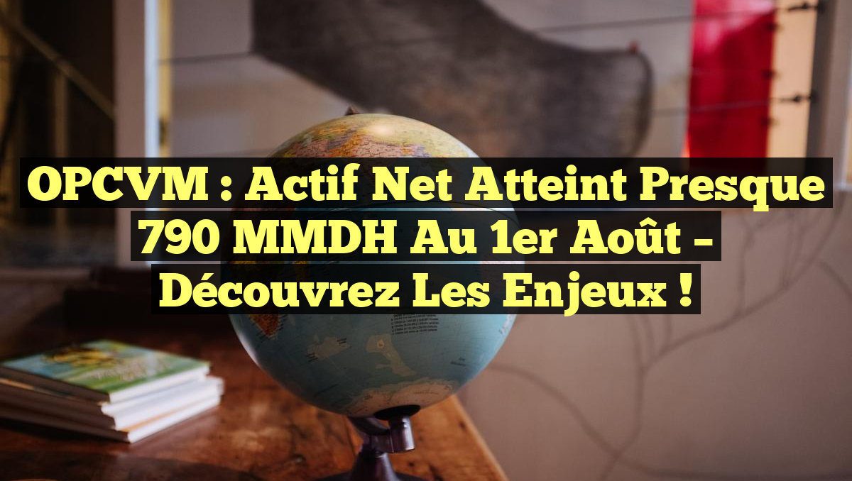 OPCVM : Actif net atteint presque 790 MMDH au 1er août – Découvrez les enjeux !