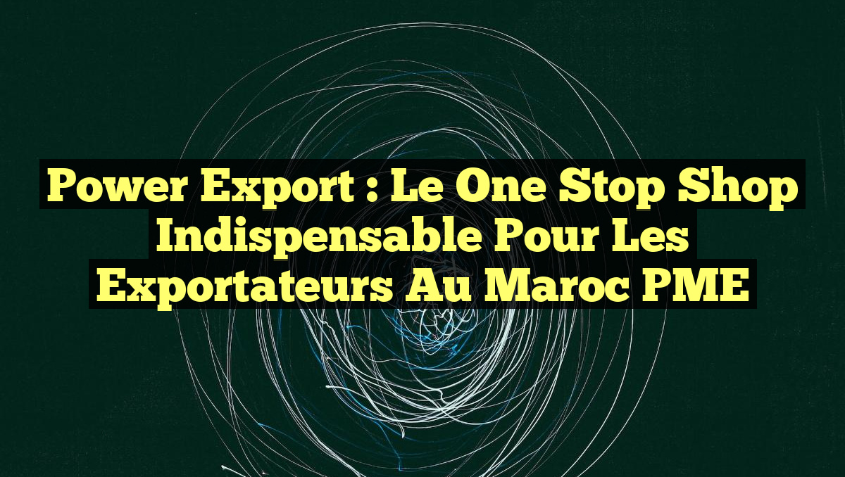 Power Export : Le One Stop Shop Indispensable pour les Exportateurs au Maroc PME