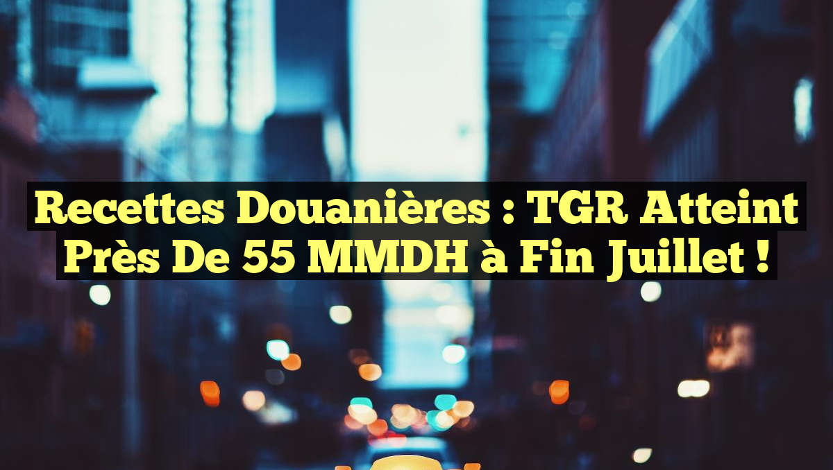 Recettes douanières : TGR atteint près de 55 MMDH à fin juillet !