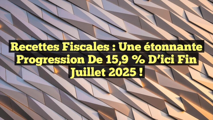 Recettes fiscales : Une étonnante progression de 15,9 % d’ici fin juillet 2025 !