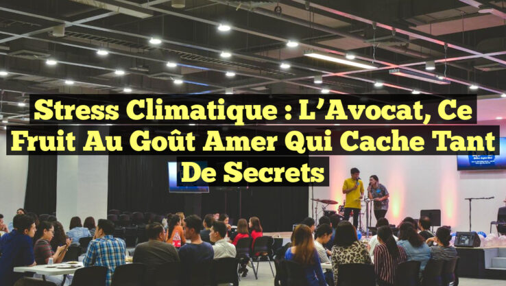 Stress Climatique : L’Avocat, ce Fruit au Goût Amer qui Cache tant de Secrets