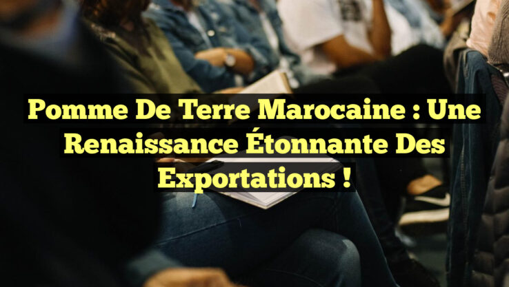 Pomme de Terre Marocaine : Une Renaissance Étonnante des Exportations !