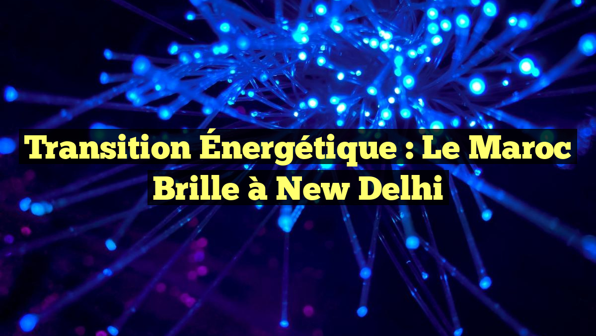 Transition Énergétique : Le Maroc Brille à New Delhi